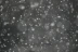 bokeh photography of snows